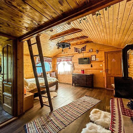 Chalets Du Bf Sighisoara Exterior photo