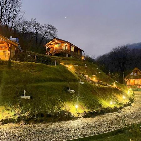 Chalets Du Bf Sighisoara Exterior photo